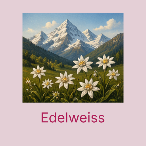 Audio player icon
