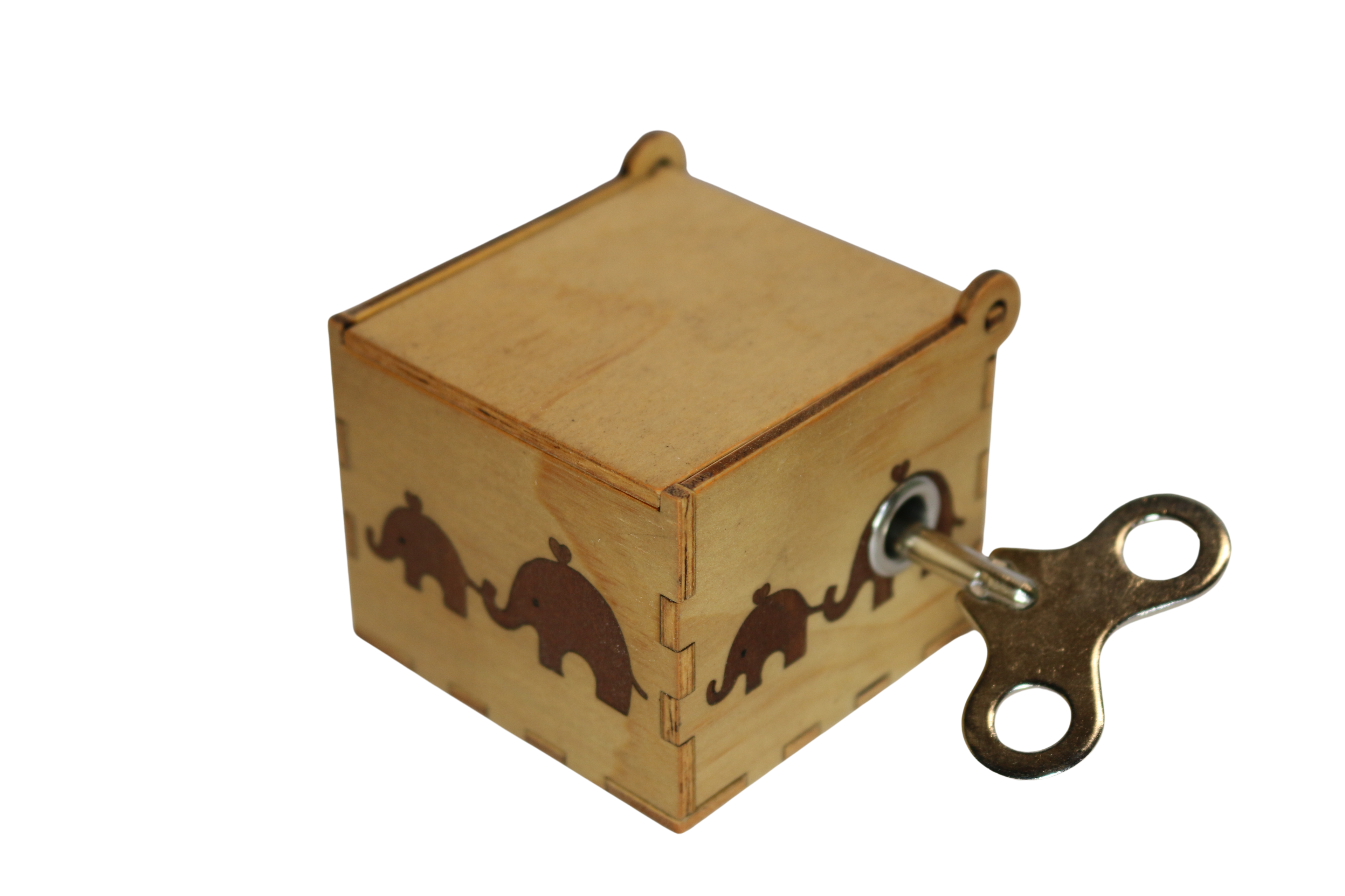 Elephants (Short Box)