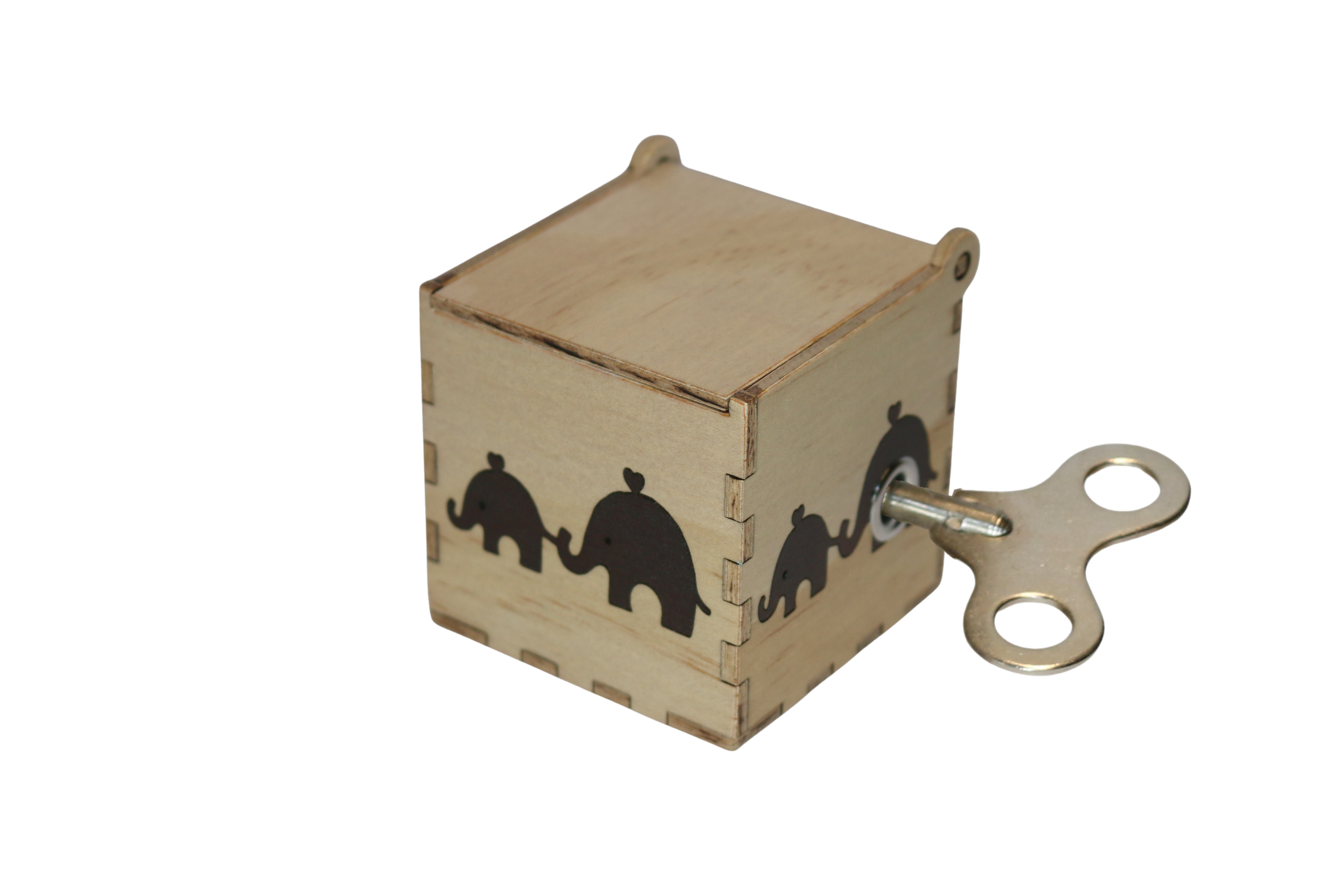 Elephants (Tall Box)