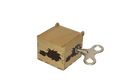 Hedgehogs (Short Box)