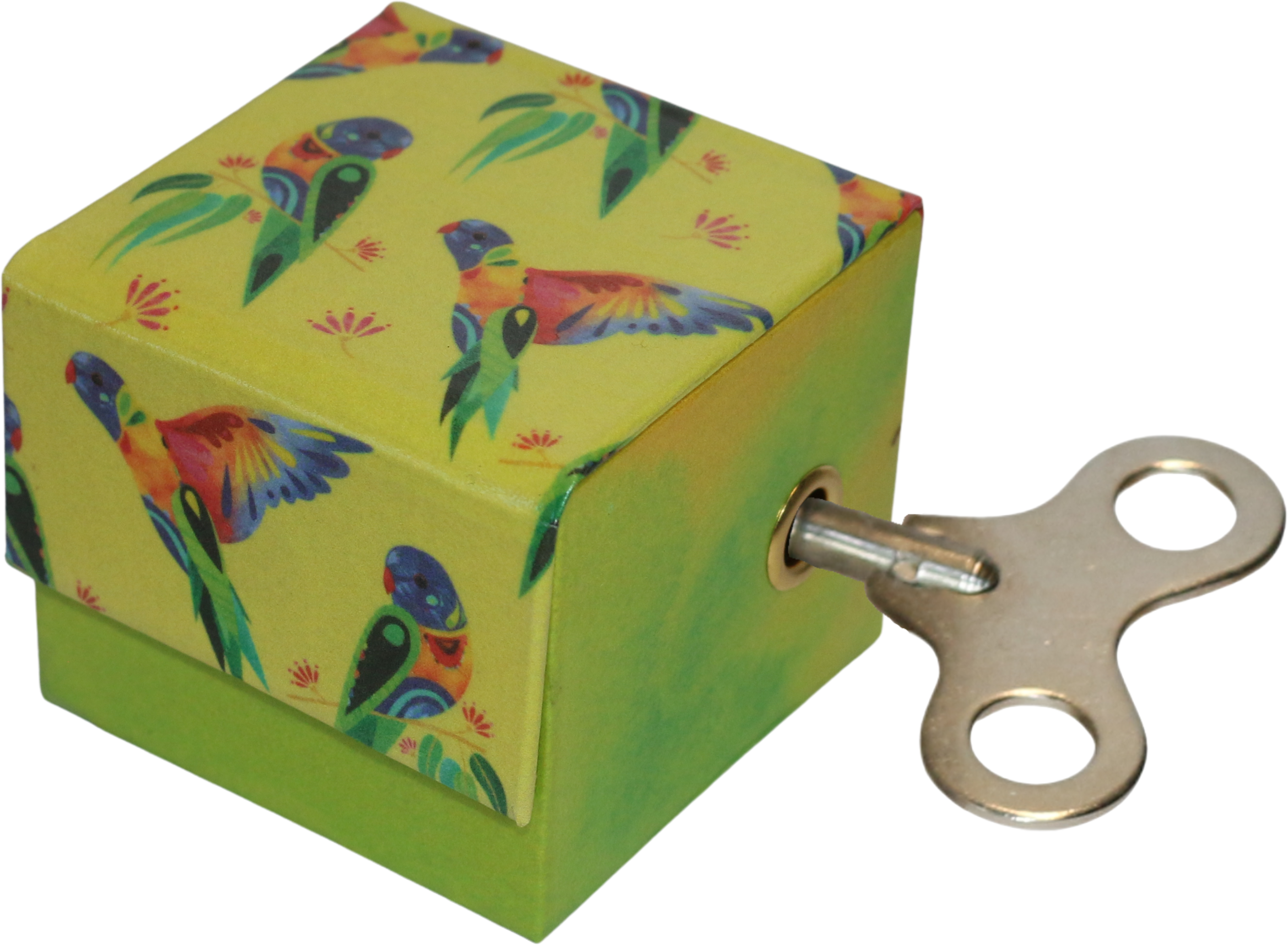 Parakeets Paper Print