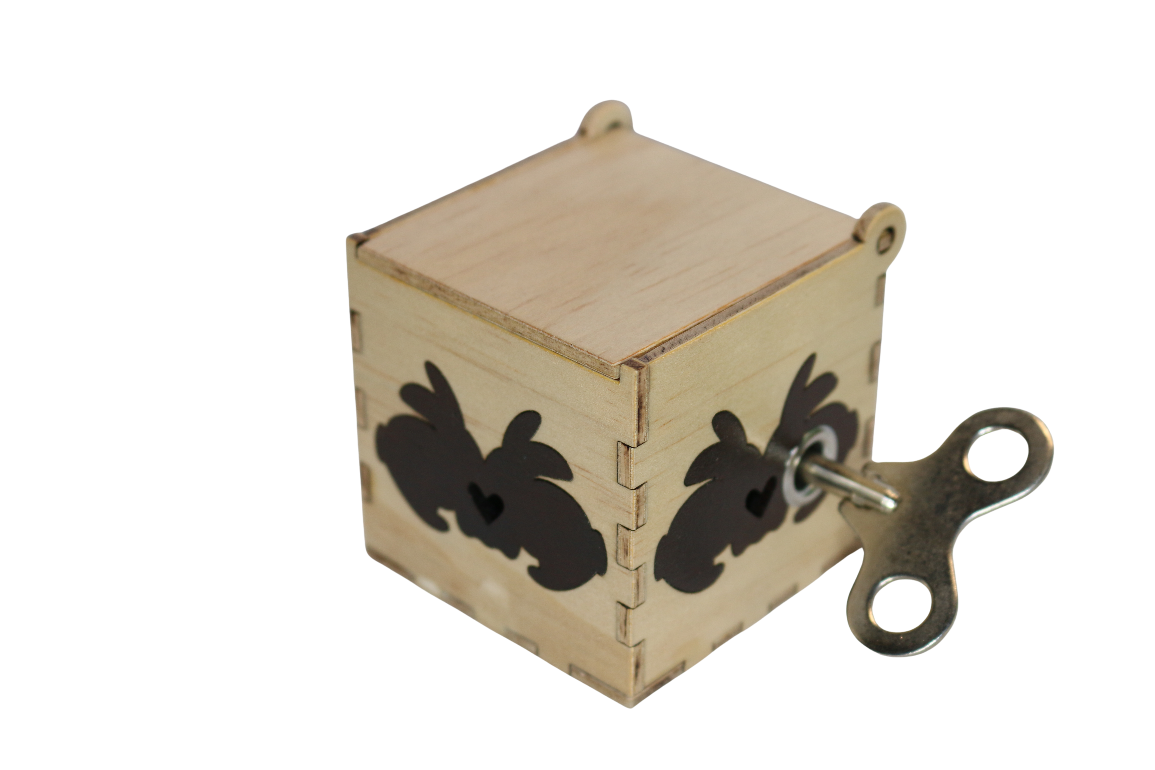 Rabbits (Tall Box)