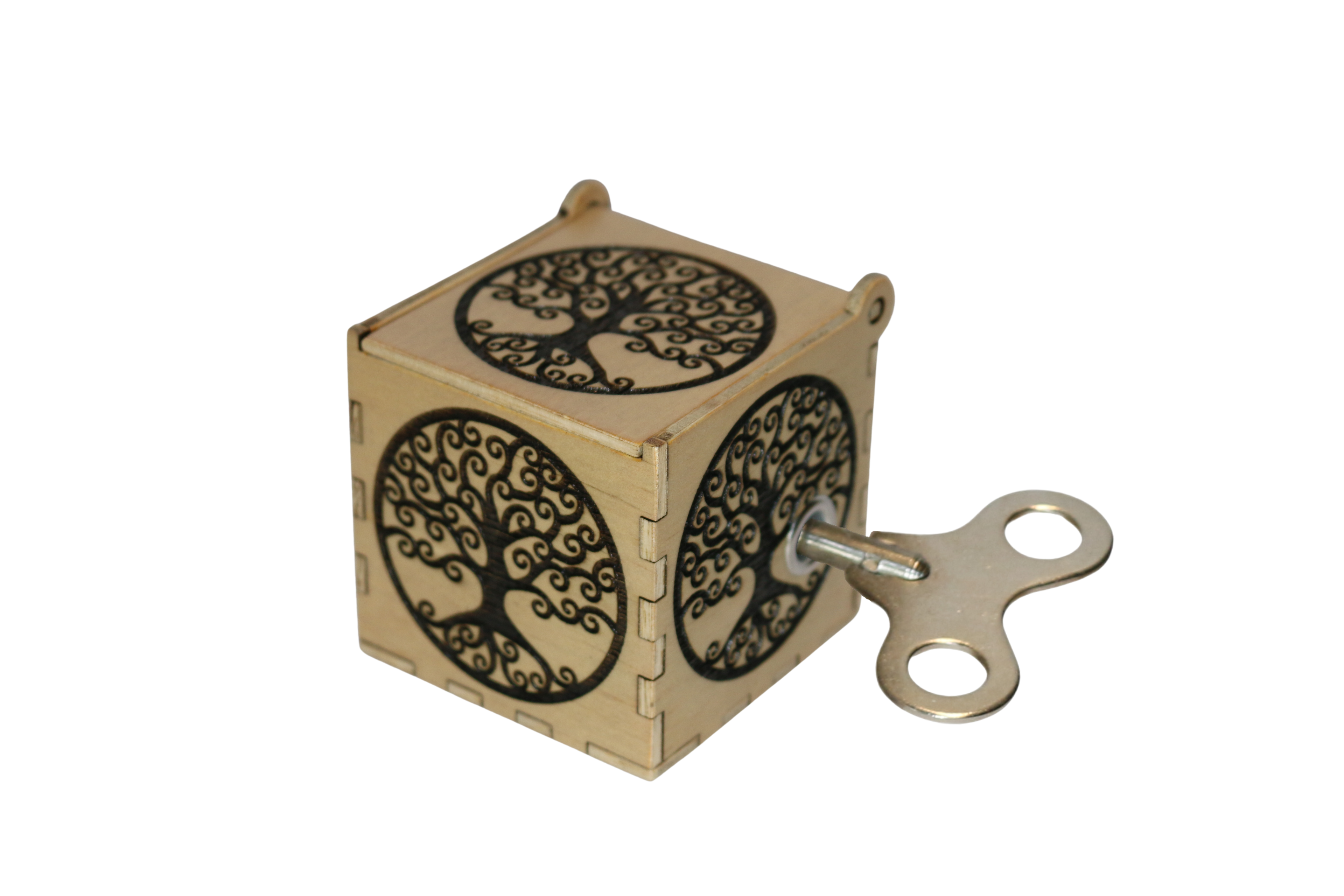 Tree of Life in Circle