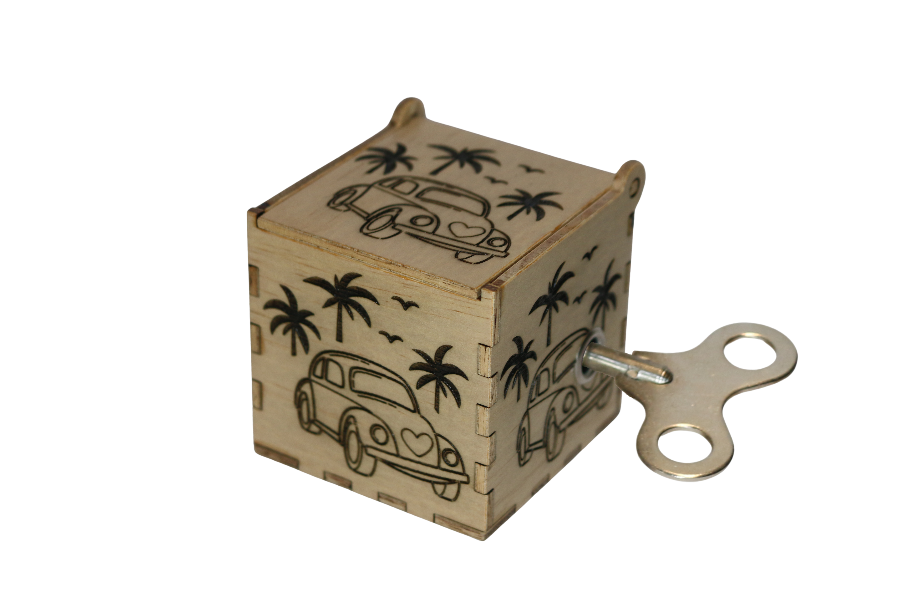 VW Beetle with Palms