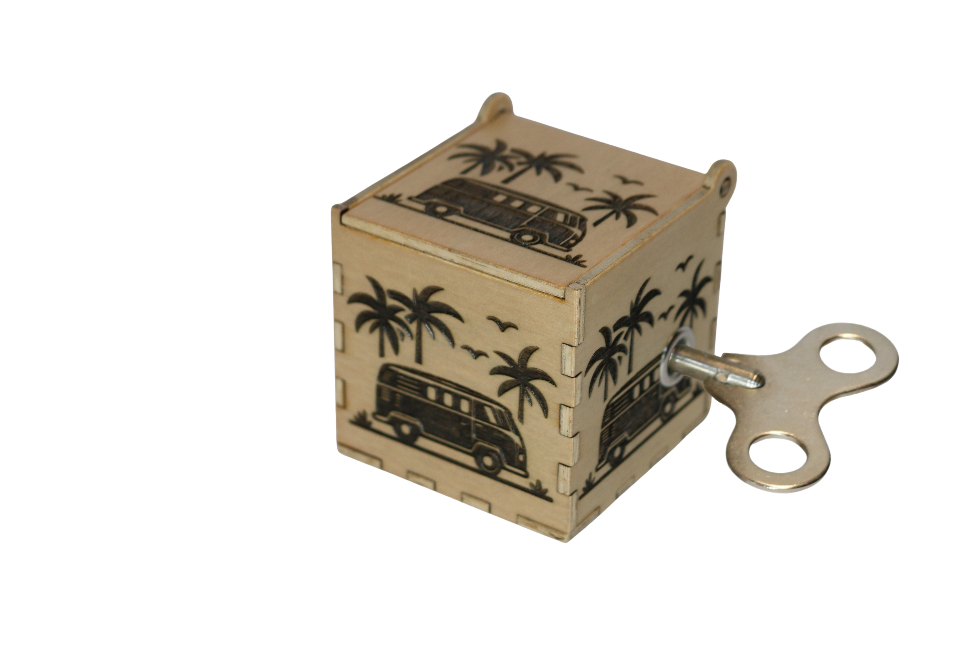 VW Bus with Palms